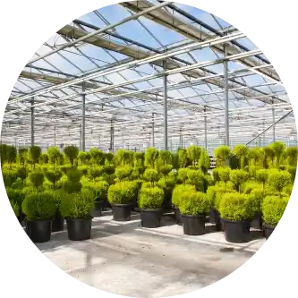 landscape_lawn_suppliers