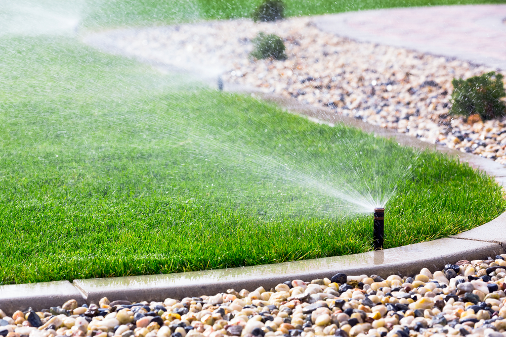 Summer lawn watering tips