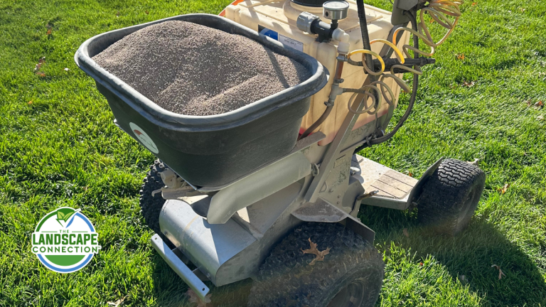 Lime Applications Improve Lawn Health