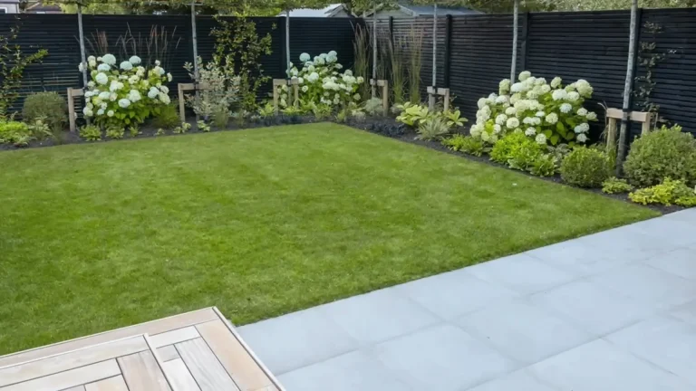 Lawn Care That Shines 768x432