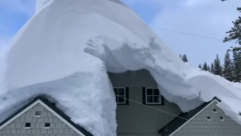 Snow removal 768x433