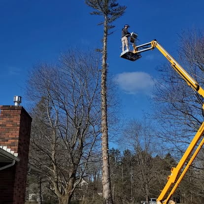 497496968 1260885546046893 8942826684705979620 n