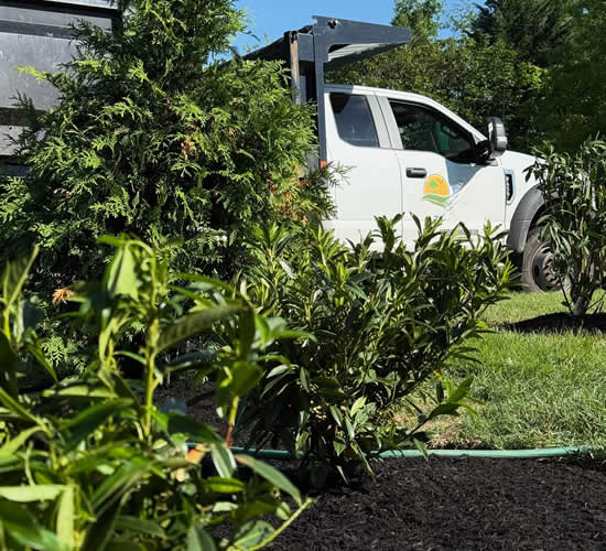 landscape services near me 1