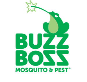 Buzz Boss LOGO 300x283